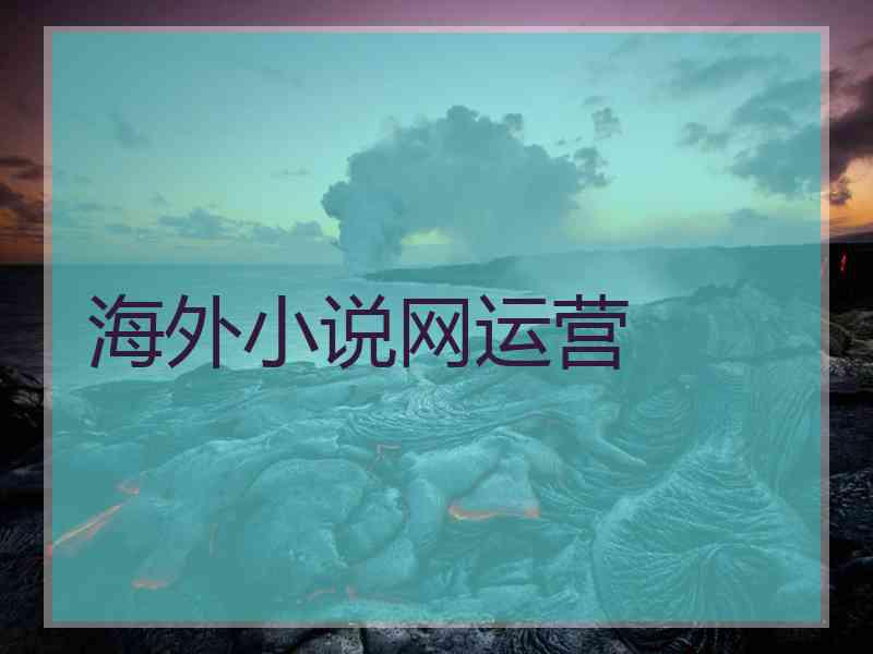 海外小说网运营