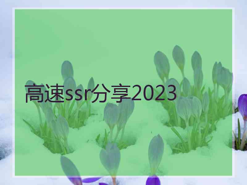 高速ssr分享2023