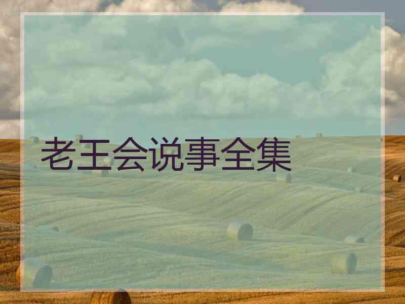 老王会说事全集