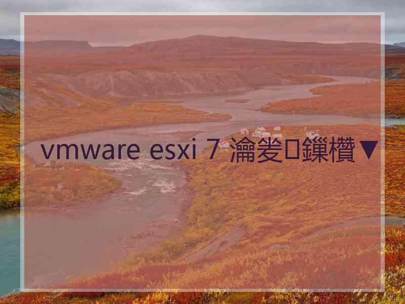 vmware esxi 7 瀹夎鏁欑▼