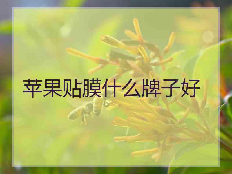 苹果贴膜什么牌子好