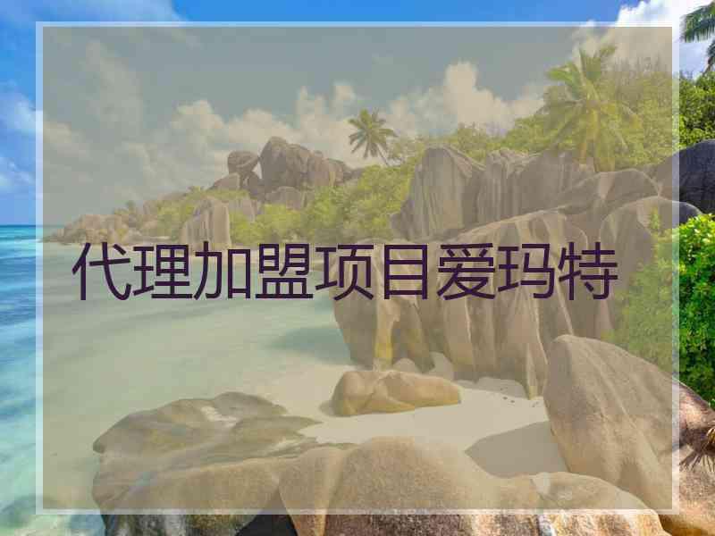 代理加盟项目爱玛特