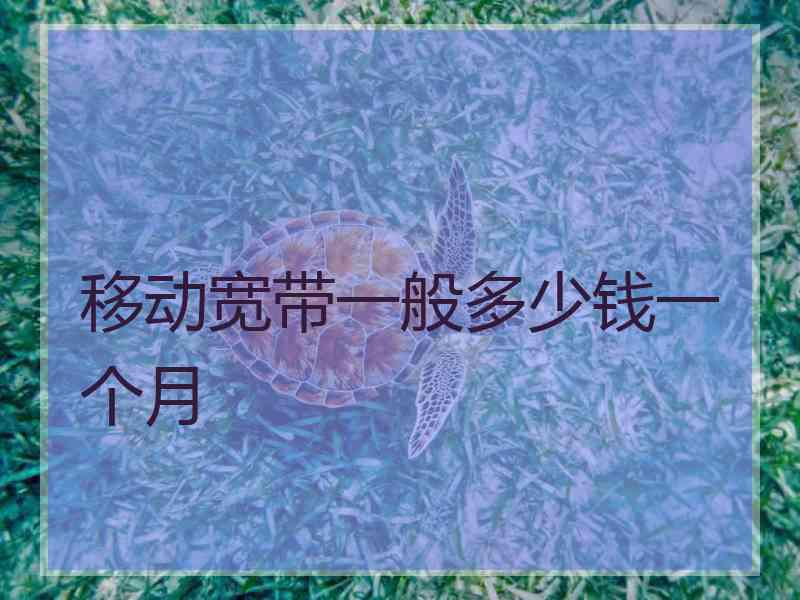 移动宽带一般多少钱一个月