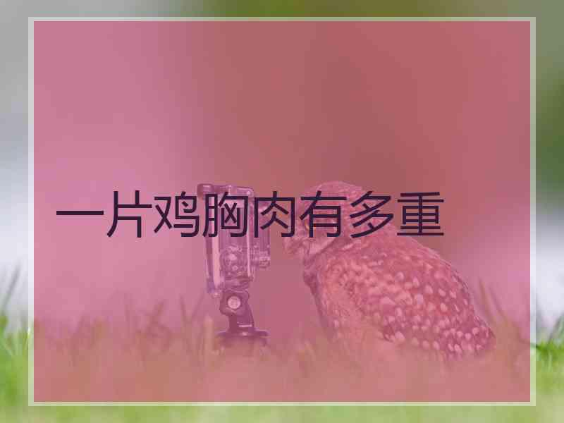 一片鸡胸肉有多重