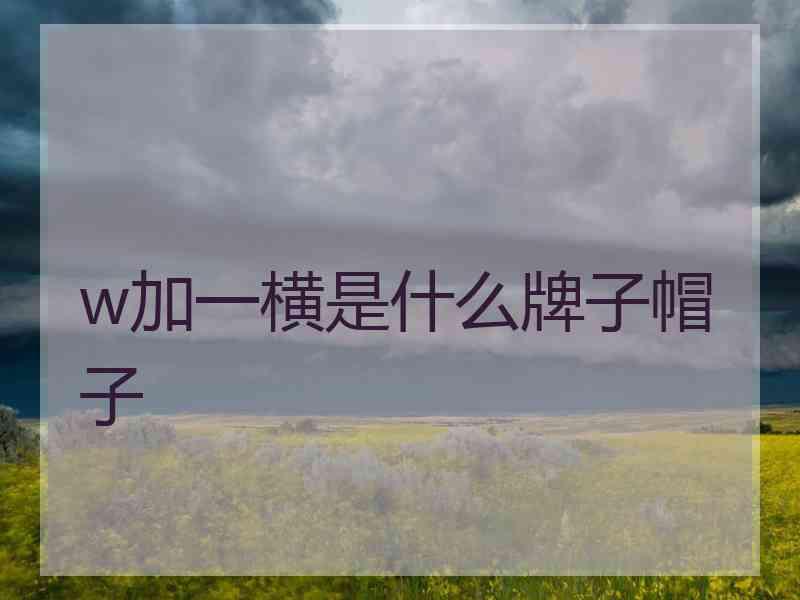 w加一横是什么牌子帽子