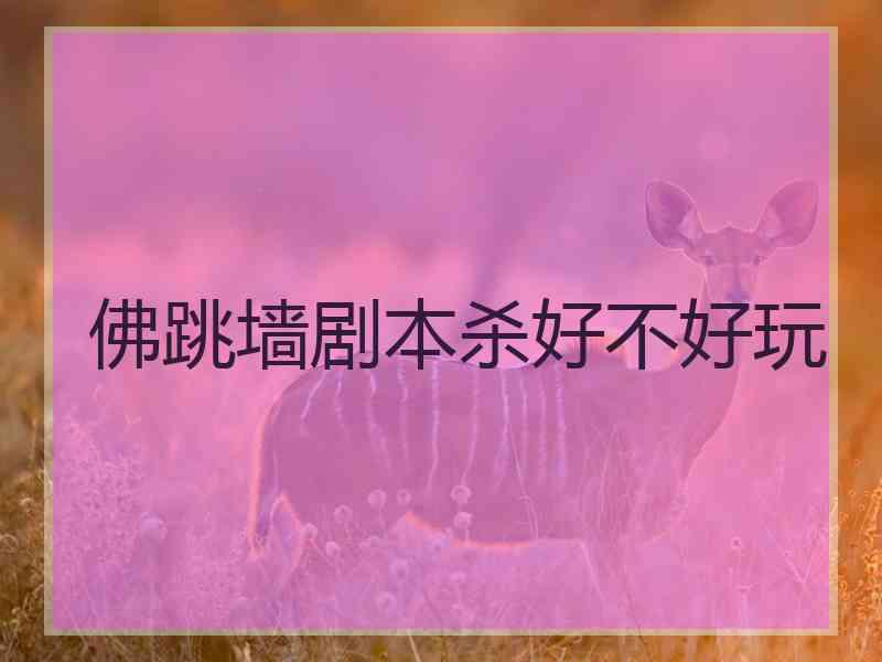 佛跳墙剧本杀好不好玩