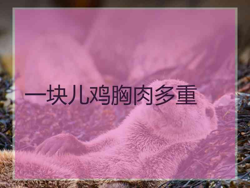 一块儿鸡胸肉多重
