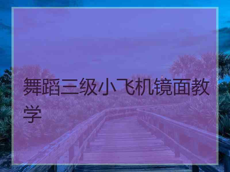 舞蹈三级小飞机镜面教学