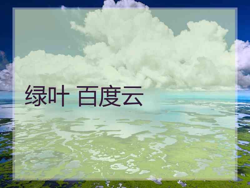 绿叶 百度云