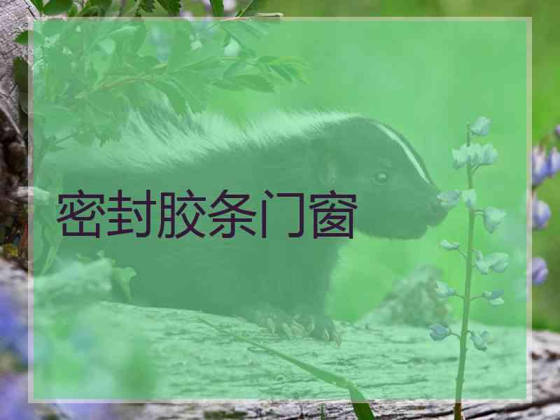 密封胶条门窗