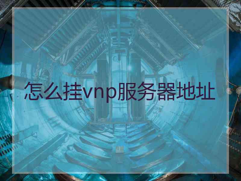 怎么挂vnp服务器地址