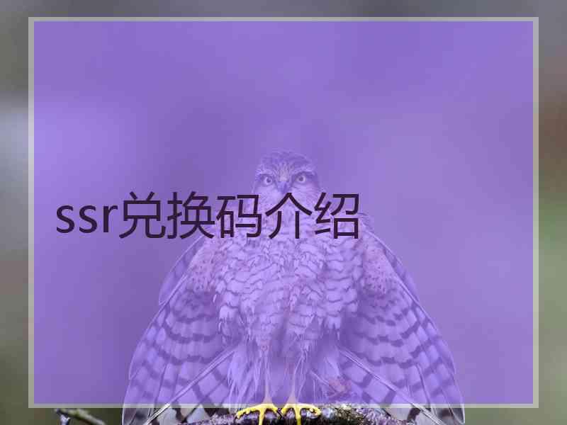 ssr兑换码介绍