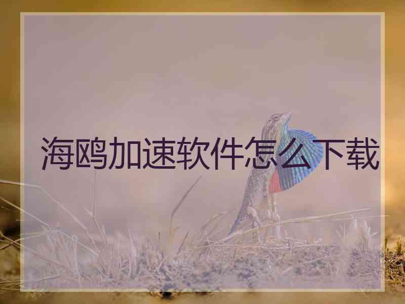 海鸥加速软件怎么下载