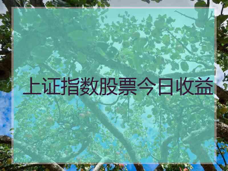 上证指数股票今日收益