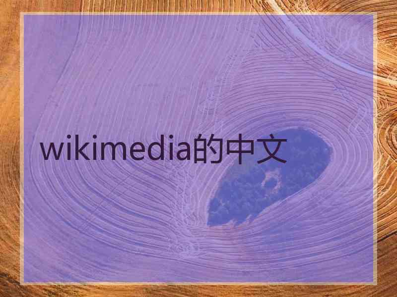 wikimedia的中文