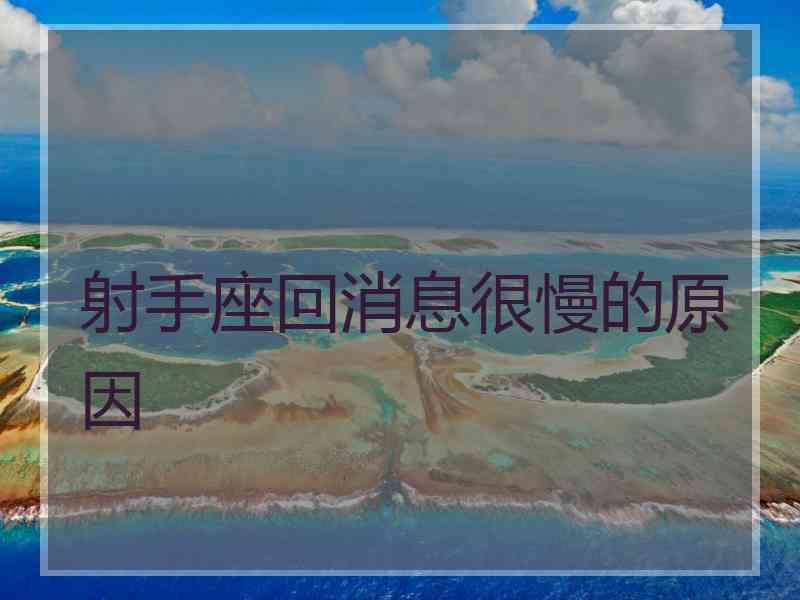 射手座回消息很慢的原因
