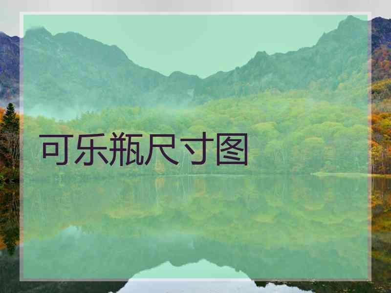可乐瓶尺寸图
