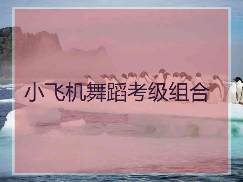 小飞机舞蹈考级组合