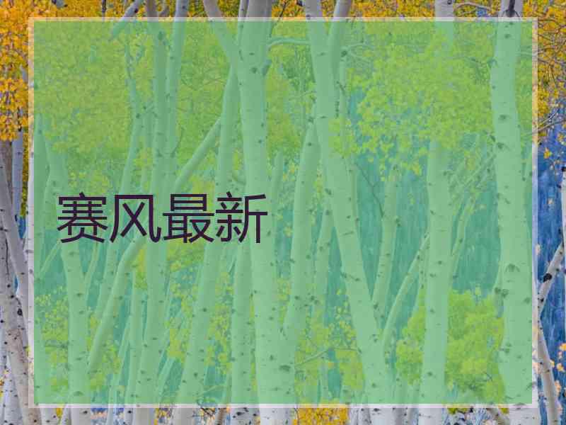 赛风最新