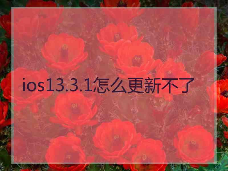 ios13.3.1怎么更新不了