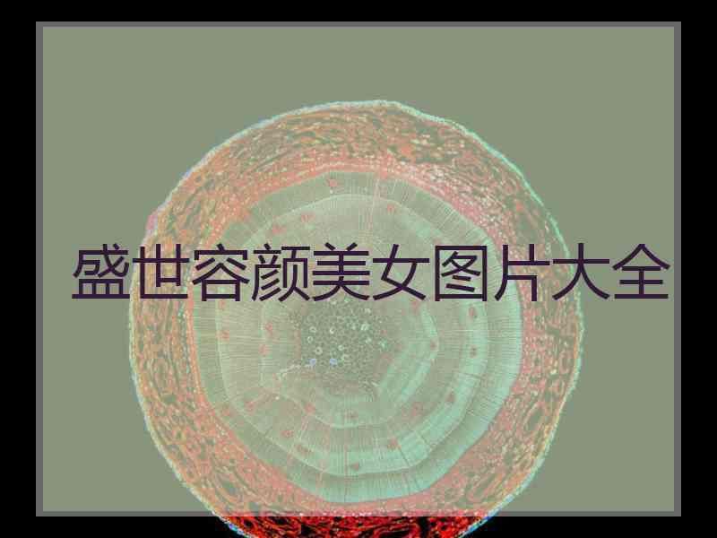 盛世容颜美女图片大全