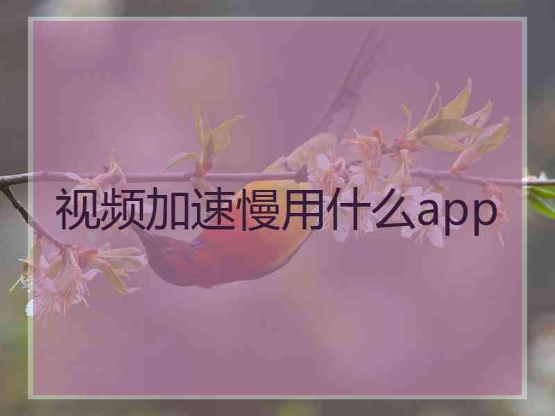 视频加速慢用什么app