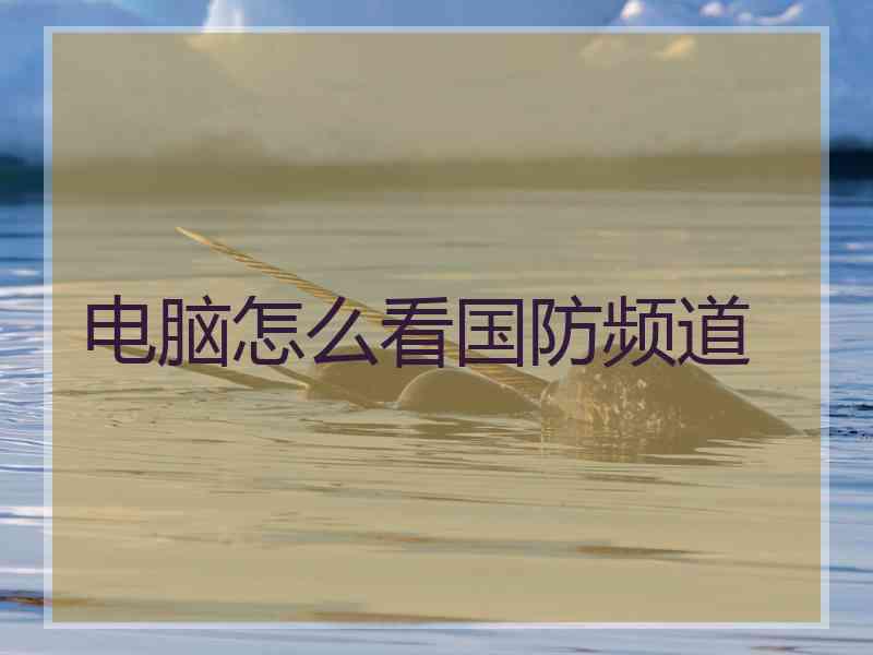 电脑怎么看国防频道
