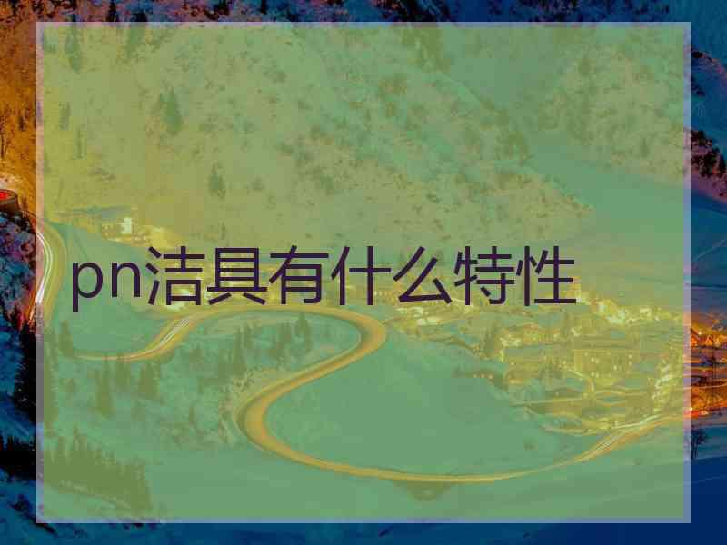 pn洁具有什么特性