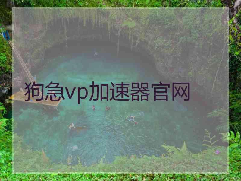 狗急vp加速器官网