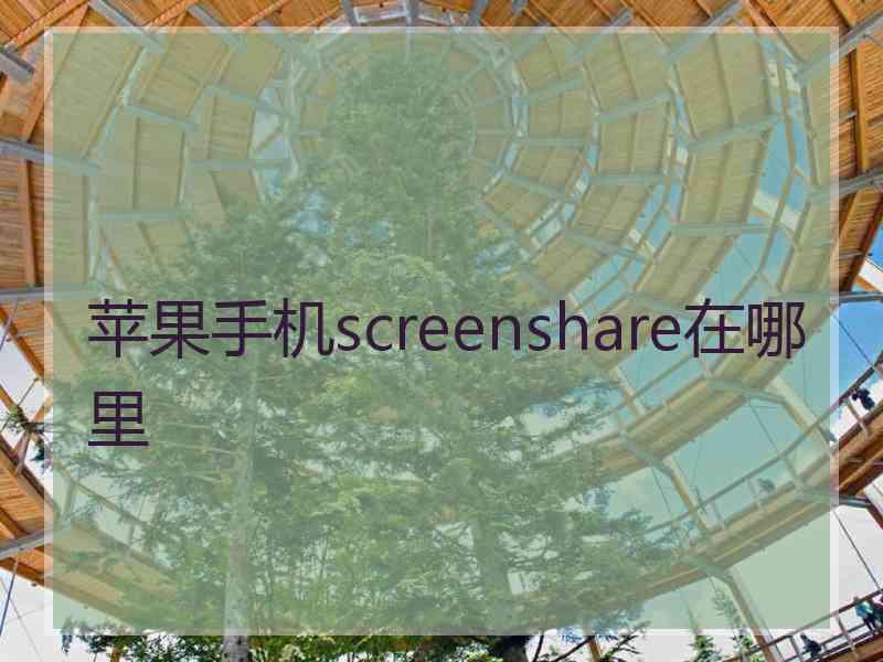 苹果手机screenshare在哪里