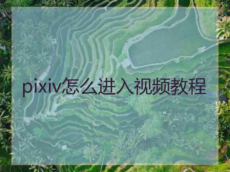 pixiv怎么进入视频教程