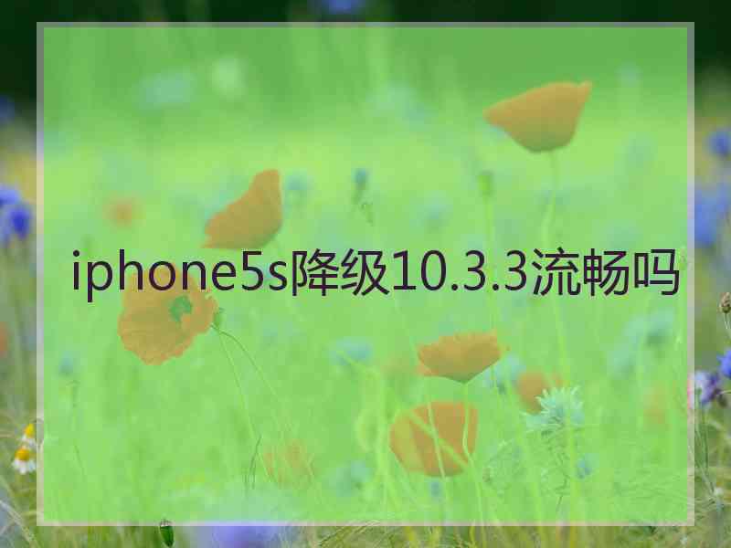 iphone5s降级10.3.3流畅吗