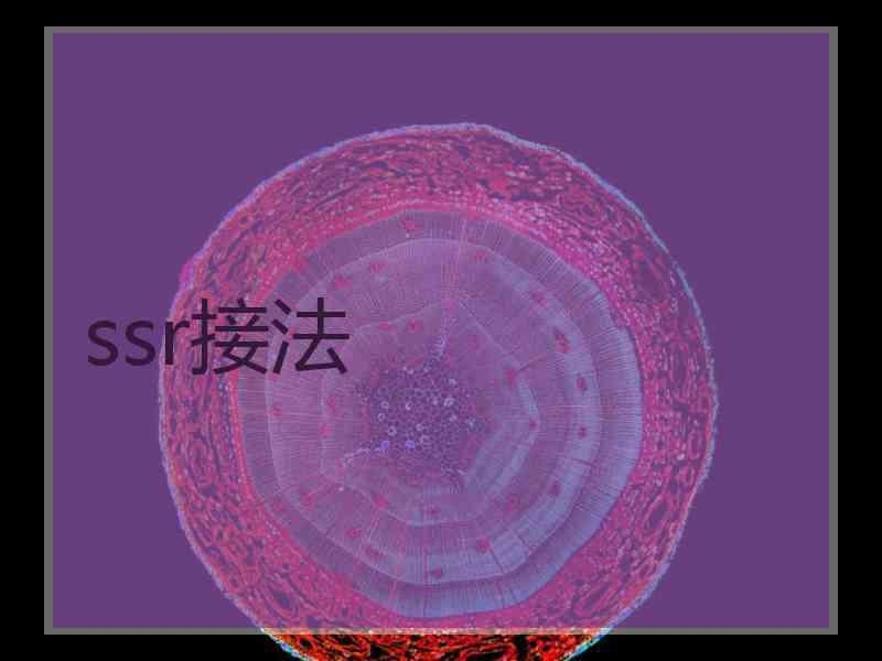 ssr接法