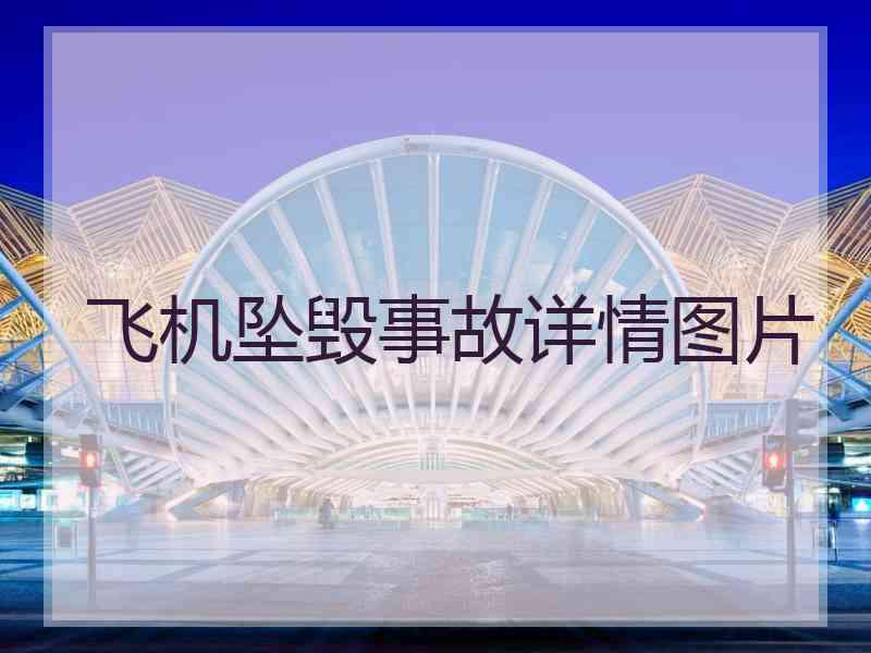 飞机坠毁事故详情图片