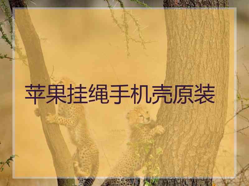 苹果挂绳手机壳原装