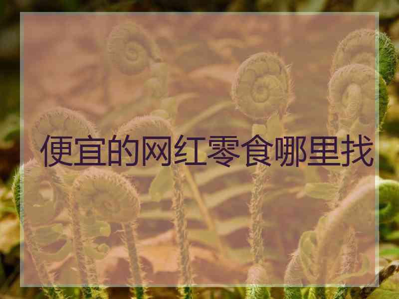 便宜的网红零食哪里找