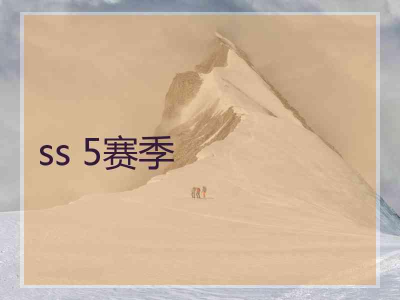 ss 5赛季