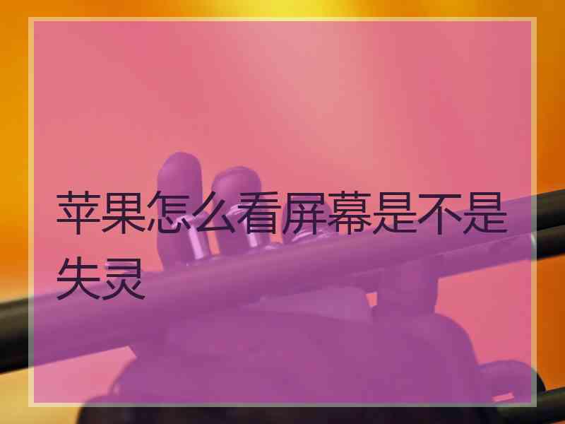 苹果怎么看屏幕是不是失灵