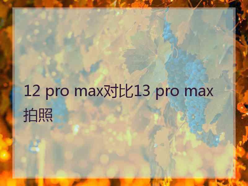 12 pro max对比13 pro max拍照
