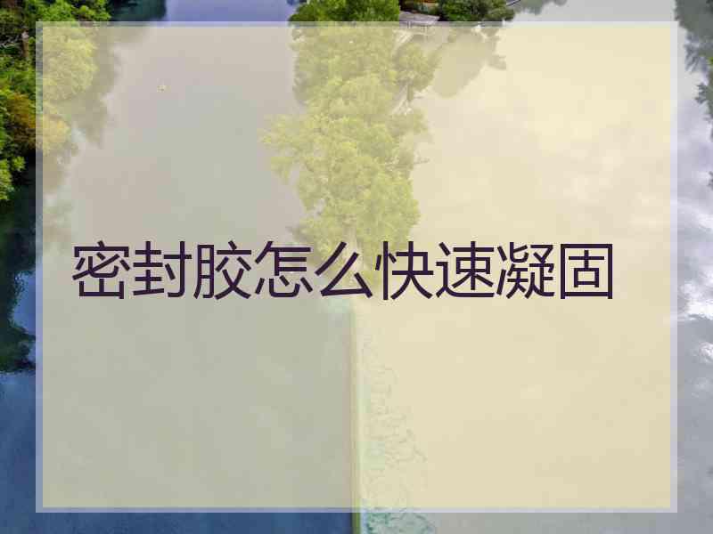 密封胶怎么快速凝固