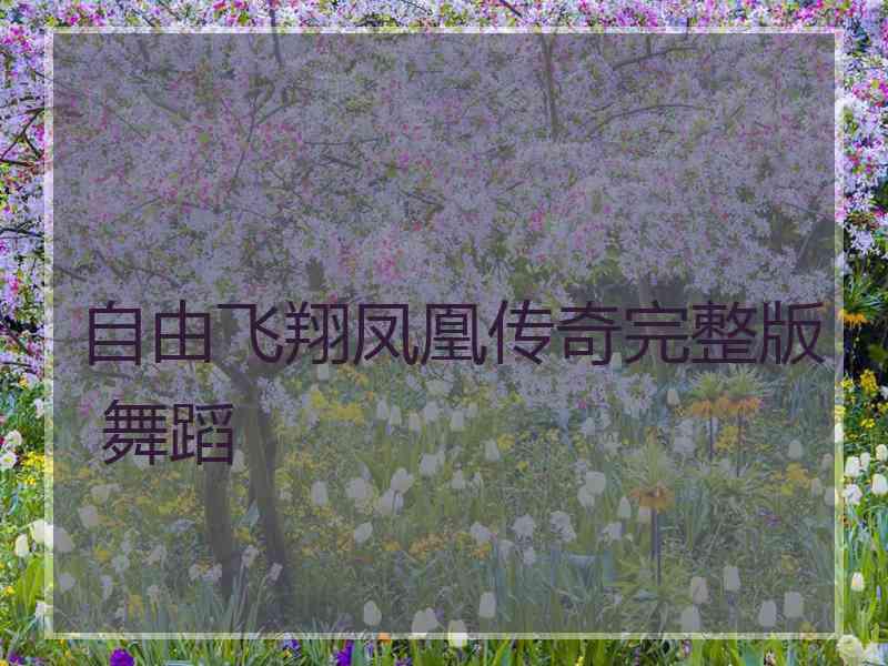 自由飞翔凤凰传奇完整版 舞蹈