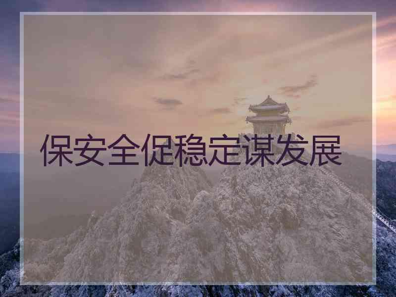 保安全促稳定谋发展