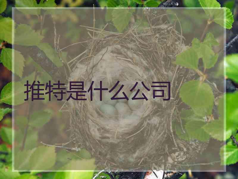 推特是什么公司