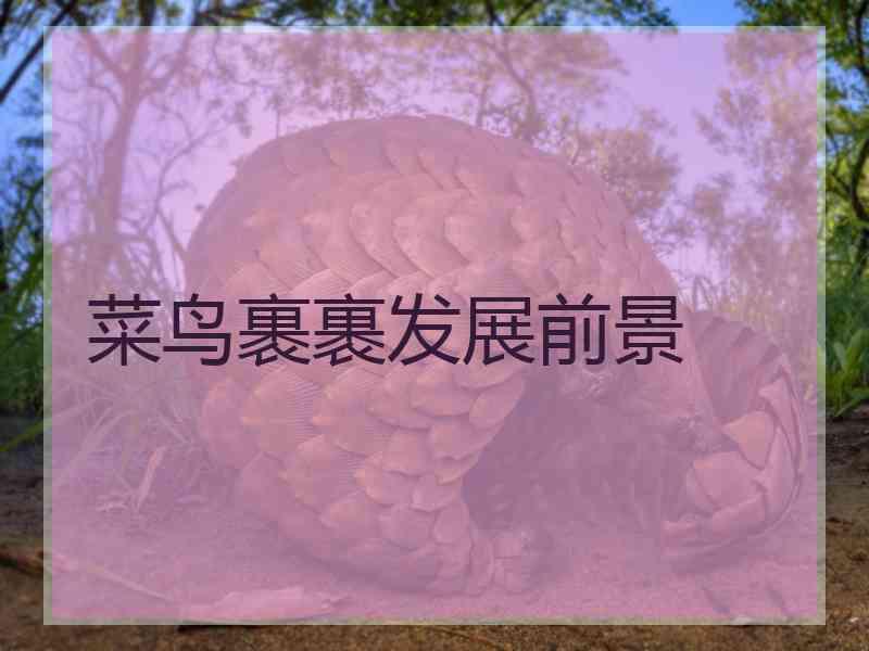 菜鸟裹裹发展前景