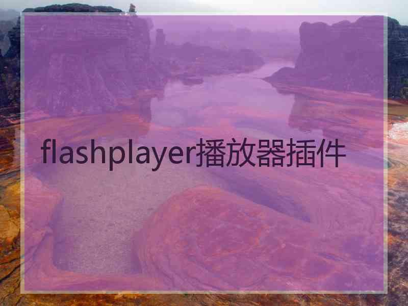 flashplayer播放器插件