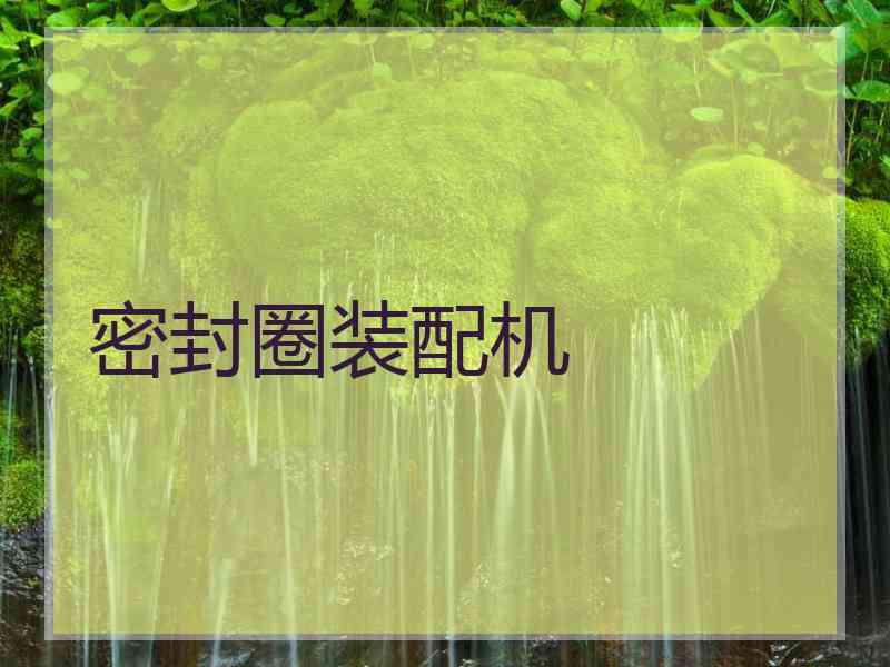 密封圈装配机