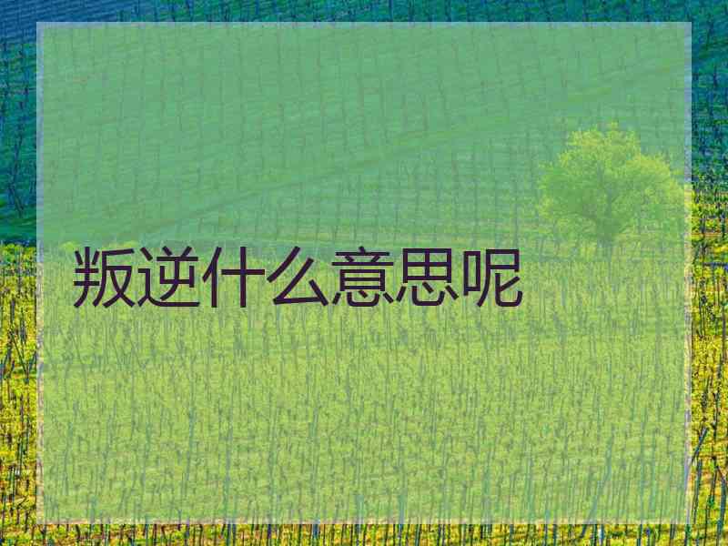 叛逆什么意思呢