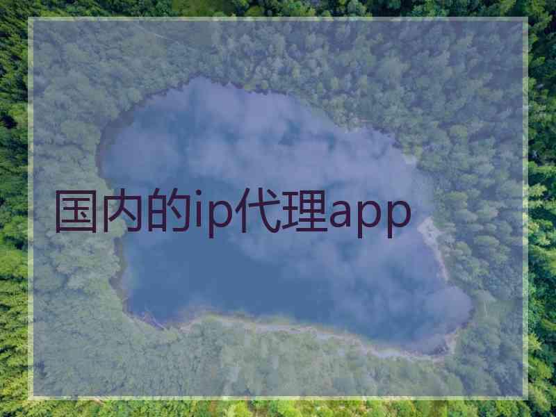 国内的ip代理app