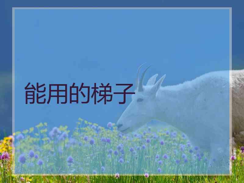 能用的梯子