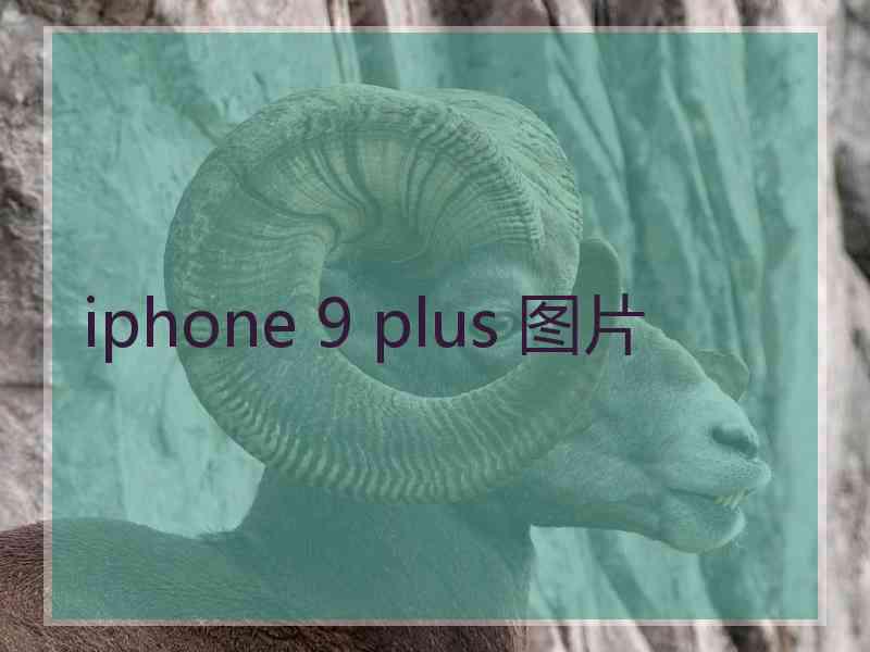 iphone 9 plus 图片